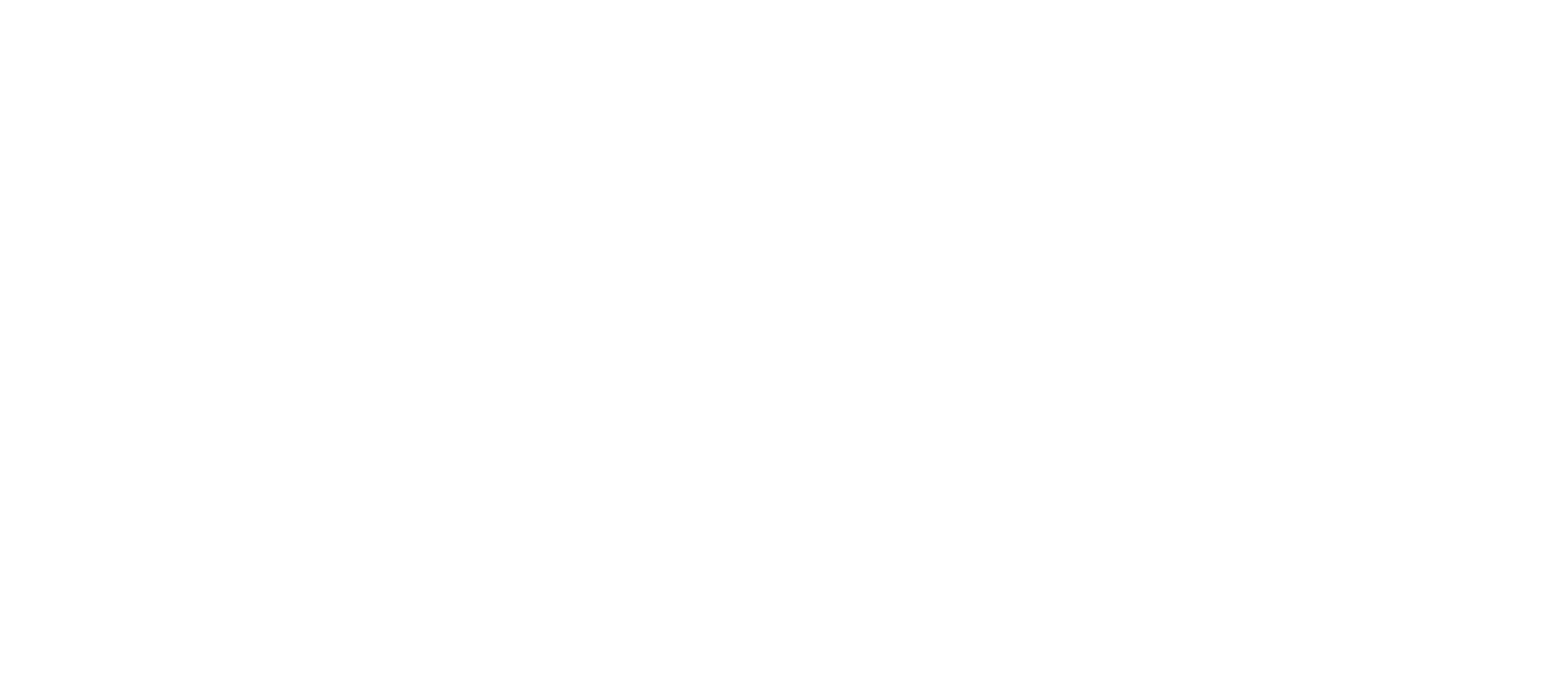 Videmihi Logo Dark